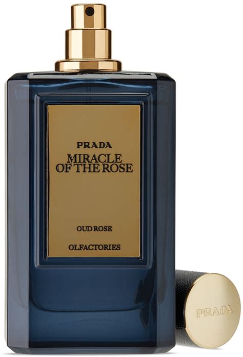 prada rose perfume price|prada miracle of the rose.